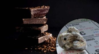 Metalli pesanti nel cioccolato fondente più famoso al mondo: ecco cosa hanno scoperto