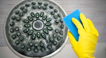 Ecco come eliminare il calcare dalla doccia: bastano 2 passaggi