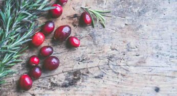 5 curiosità sul rosmarino: l’ultima non la immagini nemmeno