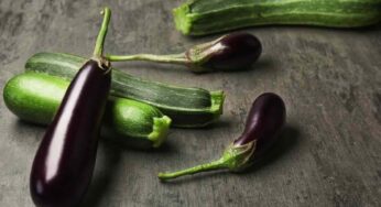 Ciambelline di zucchine e melanzane, l’idea sfiziosa che fa felice anche i bambini: se le fai in friggitrice ad aria sono ancora più sane
